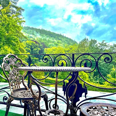 First Im Sophienhof 4* Königswinter