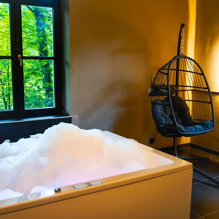 First Im Sophienhof Hotell Königswinter